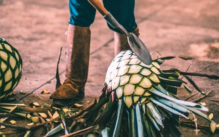6 Mezcal Cocktails to Try, From the Smoky Margarita to the Oaxaca Old Fashioned